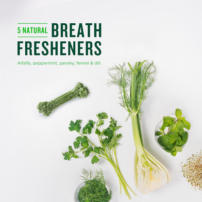 Dog Dental Bone Treats, Tiny/Small Dental Dog Treats, 16 Ounces, Cleans Teeth, Fight Bad Breath, Removes Plaque and Tartar, 16 Count